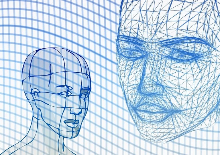 Image of a drawn face illusion
